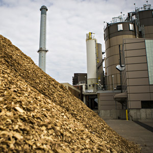 Cadena transportadora para plantas de biomasa y valorización energética 